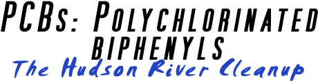 PCBs: Polychlorinated biphenyls